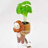  Shopmeeko Envã­o Gratis 1Pieza Autorriego Animal Cola Maceteros Encantador Flor en Maceta Pequeã±As macetas de Cerã¡Mica Decoraciã³n de Mesa de Jardã­n: Rojo