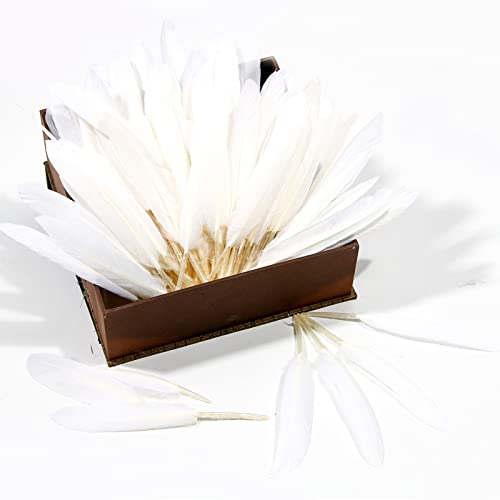 Feelfunfeather 120Pcs White Goose Cochettes Feather Natural Bulk 4-6 Inch 10-15Cm For Wedding Party Christmas Halloween Decorations Diy Crafts Goose Cochettes Feather #TOP3