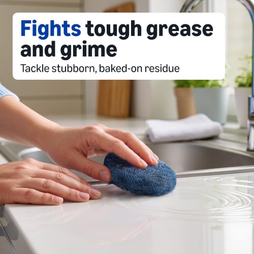 Image of Amazon Basics Steel Wool Soap Pads, Reusable, Cuts Grease and Removes Rust, 10 Count, Pack of 1