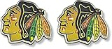 NHL Chicago Blackhawks Logo Post Earrings