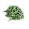 Fresh and Pure Dried Neem Leaves 28g Neem Leaf Premium Tea Naturally Grown Air Nim Leaf Tea