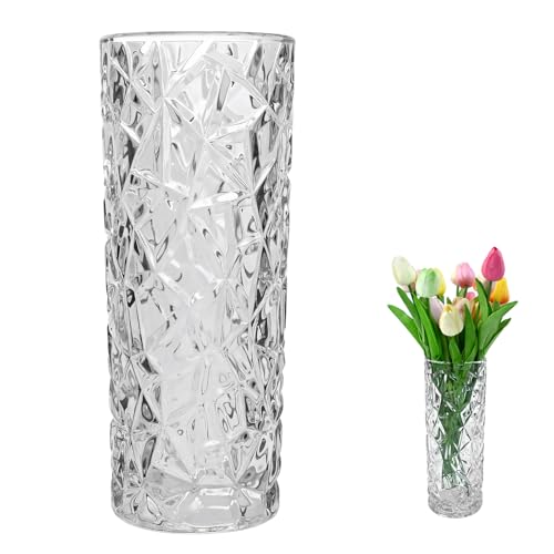 QEEYON Jarrón de flores de cristal de 25 cm de alto, 10 cm, jarrón para tulipanes transparente, jarrón de cristal cilíndrico con patrón de hielo nórdico, jarrón pequeño para decoración de mesa en