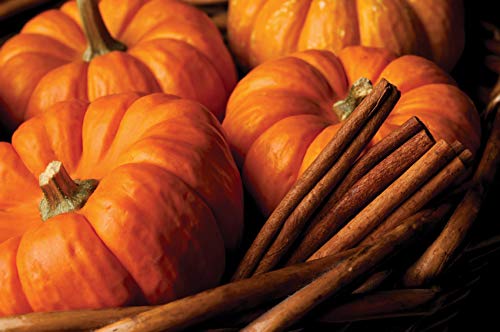 Root Candles, Candle Veriglass Pumpkin Spice Large #TOP1