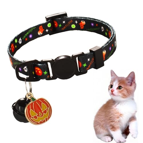 nEB[̌̎ sCȗHL̎ ߉\ ^ ^ ybg