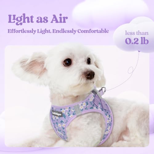 Image of rabbitgoo Dog Harness Medium Sized and Leash Set, Step-in Puppy Pet Vest