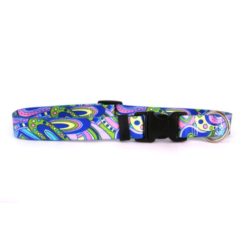 Image of Yellow Dog Design Mod Dog Collar, Medium-3 /4 Wide fits Neck Sizes 14 to 20 inch /4 inch Wide