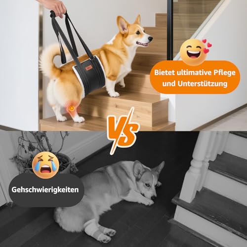Hundegeschirr Hunde Tragehilfe Einstellbar Gehhilfe Hund Treppe Hund Hinten Lift Support Geschirr Kleine, Mittelgroße und Große Hund Rehabilitation Tragegurt für Rückenmarkinfarkt Arthrosen