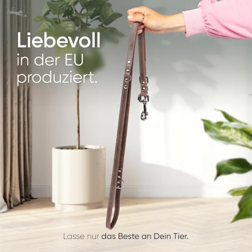 FREUDENTIER Hundeleine 2m aus zertifiziertem Leder - Verstellbare Führleine - Handmade in EU - Hundeleine grosse Hunde, mittelgroße & kleine Hunde - Lederleine (Dark Chocolate, 20mm breit)