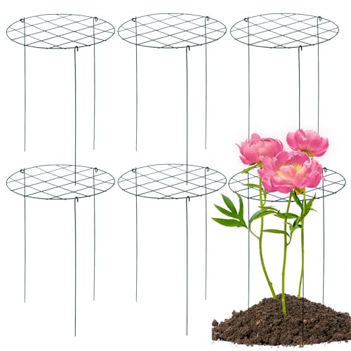 TIyneayle 6 Pack Peony Cages and Supports 16 x 24 Inch Grow Through Plant Support Peony Support Ring...