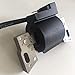 LIYYOO 593872 Ignition Coil Compatible with Briggs & Stratton 08P502 09P602 09P702 Armature Magneto Lawn Mower Engines Replaces 799582 798534