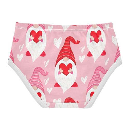 Flower Girls Underwear Toddlers 2t Cotton Panties Little Girl Cute Gnomes Pink Briefs Undies Kids2