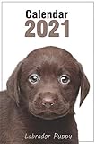  2021 Calendar. Labrador Puppy: Monthly and Weekly Book Planner. Funny Christmas and New Year Gift for Lab and Dog Lovers. (2021 Book Calendars)