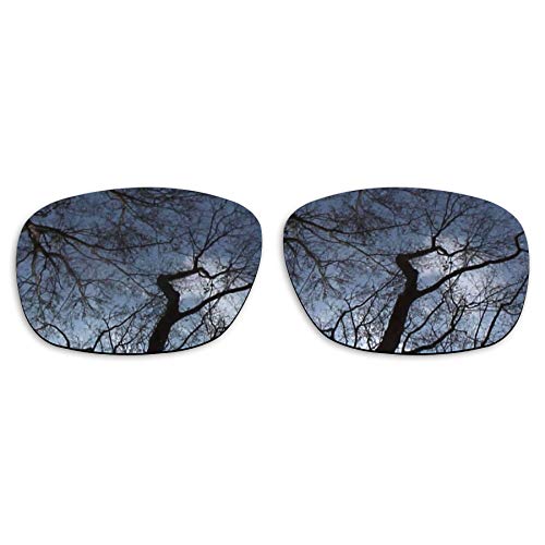 Verres polarisés Knoxville contre l'éblouissement Shield Black