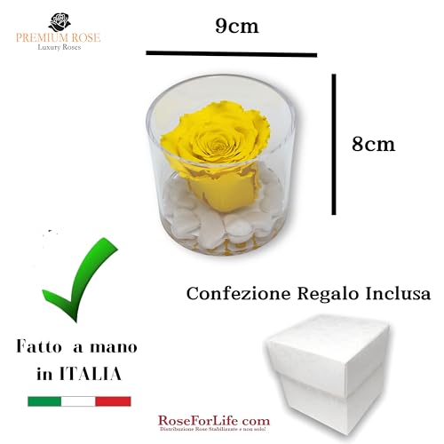Premium-rose.com Runde Box mit stabilisierter gelber Rose und Carrara-Marmor, Geschenkidee für sie, Freundin, Geschenk für Mutter, Weihnachten, gelber rosa Würfel, hergestellt in Italien (gelb 1094)
