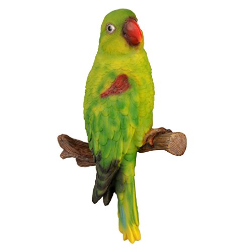 Image of Wonderland wall Parrot for Home or Garden Decor