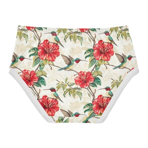 ZZKKO Hummingbird Red Flower Girls Underwear Toddler Panties for Girls Comfort Brief Size 2-8T2