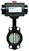 Dixon B5121E250WW-BBC Wafer Butterfly Valve, Ci Body EPDM Seat, R and P, Aluminum, SR, NC, 2.5"