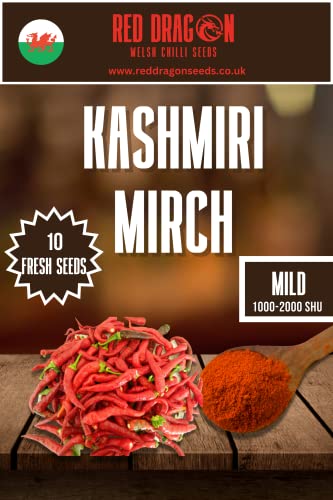 Kashmiri Mirch Chilli Seeds - 10 Fresh Seeds - Great Pepper for Eating and Making Red Chilli Powder
