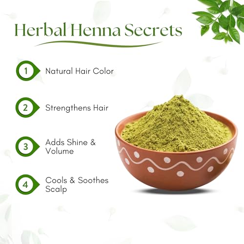 Havintha Herbal Henna Hair Pack 11 Herbs Mix Mehandi Powder | Natural Hair Color, Shine, Smoothness, Conditioning | Hair Pack for Men & Women 227 g (Pack of 1)