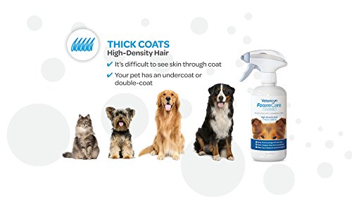 Foamcare Pet Shampoo For Thick Coats By Vetericyn | Promotes Healthy Skin And Coat - Hypoallergenic With Aloe - Cleans, Moisturizes, And Conditions – Instant Foam Shampoo – 16-Ounce #TOP2