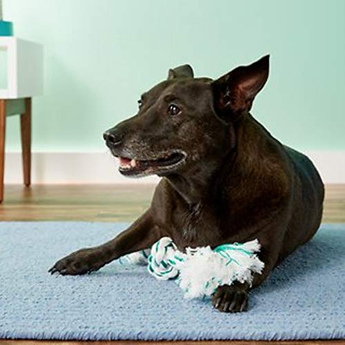Booda Fresh N Floss 3 Knot Tug Rope Dog Toy, X-Large, Spearmint #TOP2