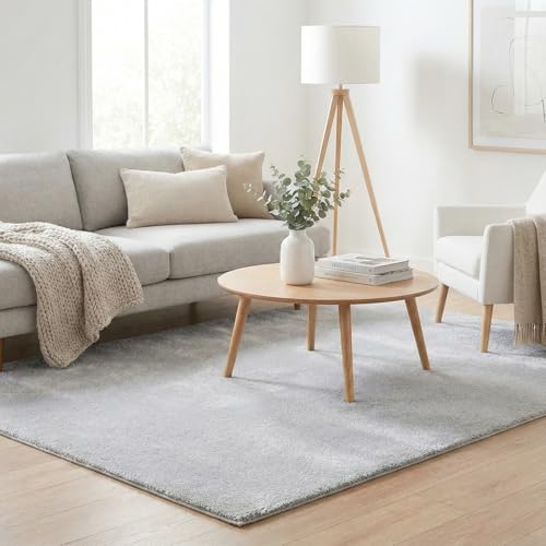 RUGURA Alfombra de Salón Dormitorio Habitación Comedor Pelo Corto y Suave 120x170cm Gris Unicolor Moderna Nordica Lavable Antideslizante