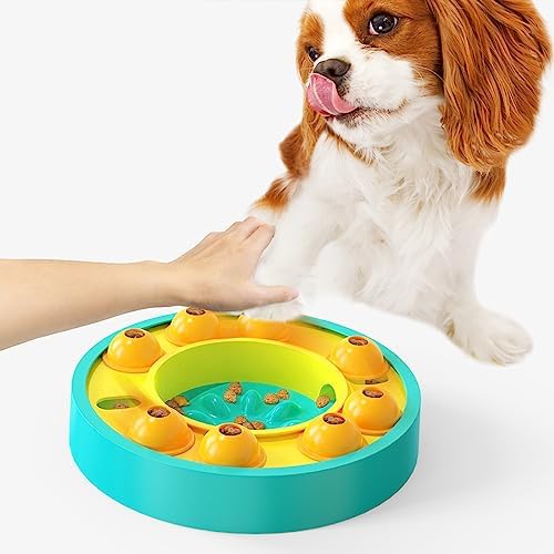 HOUSENLuxury Dog puzzle toy,Feeder Slow Feeder Dog Bowl