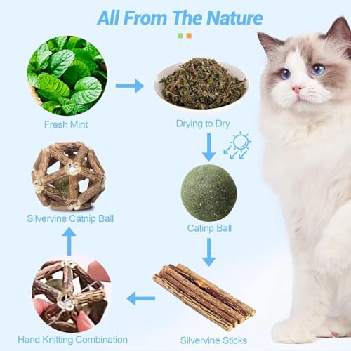 Image of cature Care by Nature Catnip Toys,Cat Toys Natural Silvervine Stick Cage Balls&Bell Ball Cat Toys For Indoor Cats,Cat Chew Toy&Kitten Cleaning Teeth Molar Tools (1Pcs)