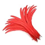 Hay muchos colores para elegir, y las artesanías neutras son muy adecuadas para decoración y hechas a mano en otoño, invierno o Navidad. Utilizado para fiestas, materiales de arte, decoraciones.
