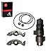 MOTO1988 348cc 83mm Top End Cylinder Rebuild Kit Piston Ring Rocker Arm Camshaft Compatible with Yamaha Warrior 350 1990-2004 Raptor 350 2004-2006 Big Bear 350 1987-1999 (black)