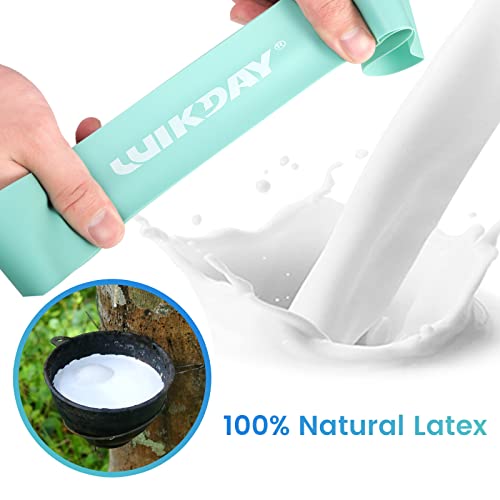 Wikday Resistance Bands For Working Out Exercise Loop Bands Workout Bands Set For Men Women Body Stretching, Crossfit Training, Home Workout, Physical Therapy, Booty Legs, Set Of 5 (Blue) #TOP2