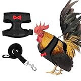 Chicken Harness with Leash, Upgraded Double Adjustable Mesh Breathable Chicken Training Harness, Pets Leash for Training and Walking Hens, Duck, Goose, Small Pet (Black, S)