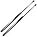 Maxpow 4325 SG201014 Compatible With Volkswagen Beetle 1998 1999 2000 2001 2002 to 2010 Without Spoiler Trunk Lift Supports Struts