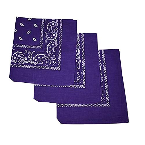 M.H.I. 3 Pack Dog Bandana Neck Scarf Paisley 100% Cotton Double Sided Bandanas cover