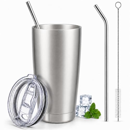 Pandance 20 oz Stainless Steel Insulated Tumbler with Lid and Straw, Silver