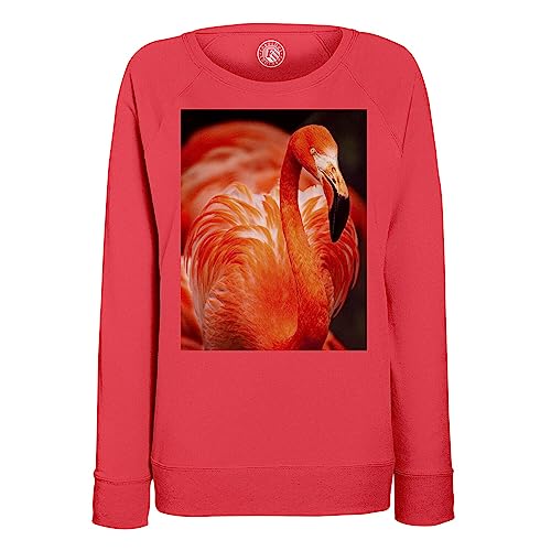 Sweat oiseau flamant rouge pour femme idéal pour vos sorties nature