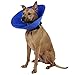 Alfie Pet by Petoga Couture - Soft Recovery Collar (for Dogs & Cats) - Color: Blue, Size: L
