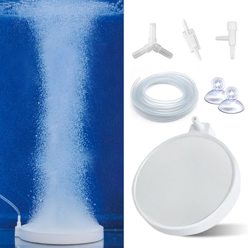 Eagles tBbV^N imGAXg[ - 20.3 cm ANAEou[AtBbV^NouXg[fBXNAn_ffBt[U[AANAE_fGA[^[ou[Xg[ 150~200K^Np