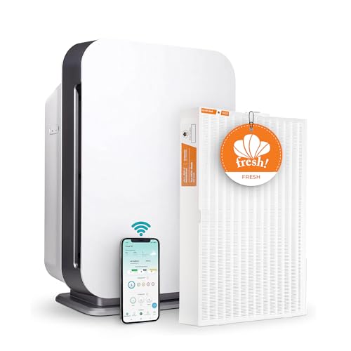 10 Best Charcoal Air Purifiers 2024 There's One Clear Winner