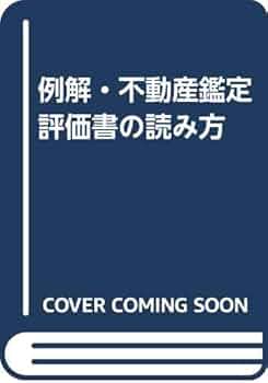 悪い評価の方お断り様　12個 輸入ビジネスは信頼が命！ヤフオクで悪い評価を受けてしまった時