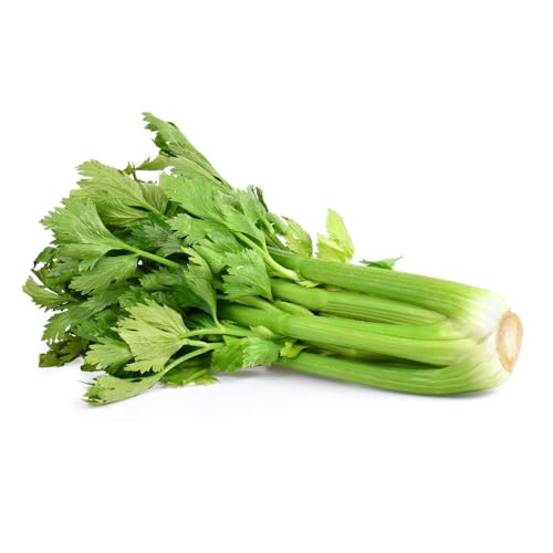 Image of Nutrifresh Celery Hydroponically Grown (Appro.100gm) Pack