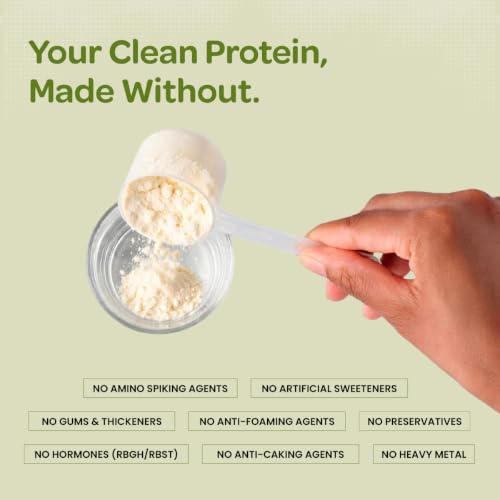 Image of Bigmuscles Nutrition Clean Plant Protein | 30g Pea & Rice Protein Isolate Per Serve (1kg, Unflavoured) | Complete Amino Acid Profile | Easy Digestion & Non-Chalky