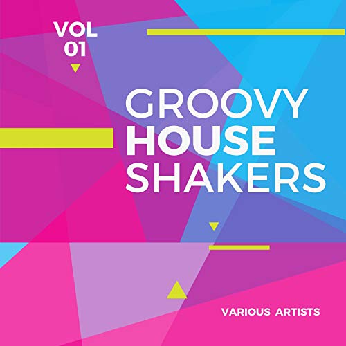Groovy House Shakers, Vol. 1 VARIOUS ARTISTS Digital Music