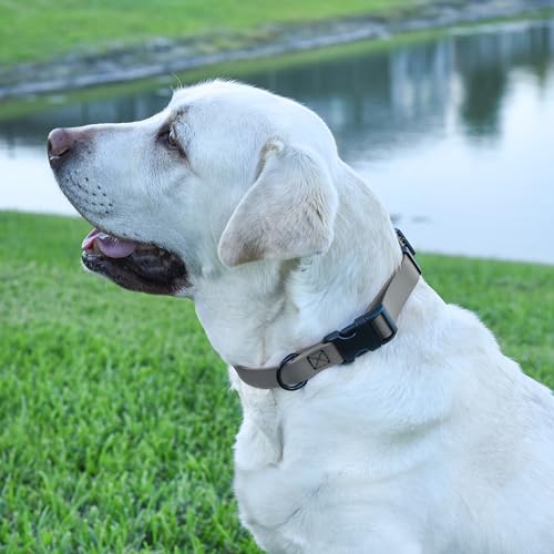 Image of Dogline Biothane Waterproof Dog Collar with Quick Release Buckle Strong Coated Nylon Webbing with Odor- Proof for Easy Care Easy to Clean Fits Small Medium Large Dogs, Grey 5 /8 inch W 9-14 inch L