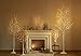 Hairui Lighted White Birch Tree 6FT, Twig Tree with Lights Plug in for Christmas Wedding Party Easter Decorations Indoor Outdoor Use