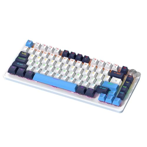 RCGtnnesa Clavier mécanique K82, Boutons Multifonctions rvb pour la Commutation de Mode, Clavier Filaire entièrement remplaçable à Chaud(Blueberry)