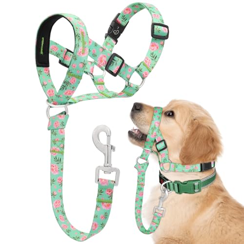 Licol pour chien avec lien de sécurité pour petits et grands