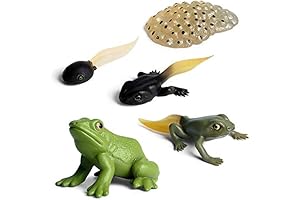 Gemini&Genius Frog Life Cycle Figurines