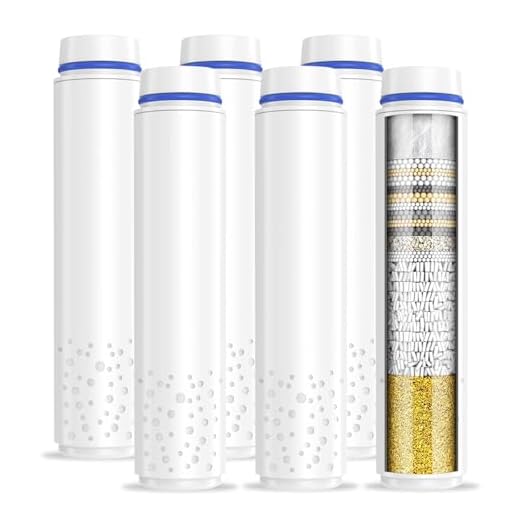 PWERAN 6 Pack Shower Filter for Handheld Use