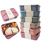 Spoondrift 100% Food Grade Eco-Friendly Leak-Proof Silicone Bento Box Lunchbox, For Child And Adult, 4 Compartment, Choose from 6 Colors, Includes 1 Box (Dark Pink)